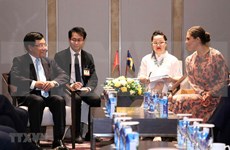 Promueven colaboración entre empresas de Vietnam y Suecia
