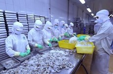 Beneficia Acuerdo Transpacífico exportaciones de camarones de Vietnam a Canadá