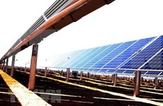 Inaugurarán en Vietnam la mayor planta solar del Sudeste de Asia 