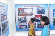 Cruz Roja de Vietnam lanza Mes de Acción Humanitaria 2019