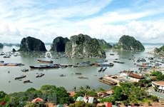 Abren en Vietnam servicio para contemplar la bahía de Ha Long desde helicópteros