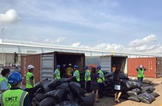 Incauta aduana vietnamita más de cinco toneladas de escamas de pangolín