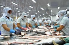  Busca Vietnam ampliar la exportación del pescado Tra  hacia  América Latina