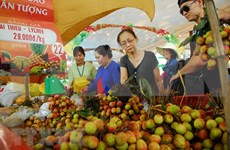 Anuncian Festival de Frutas del Sur de Vietnam durante junio y agosto de 2019