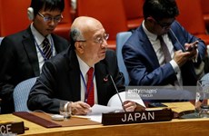 Manifiesta Japón confianza en elección de Vietnam al Consejo de Seguridad de la ONU