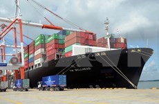 Aumenta el intercambio comercial entre Vietnam y la India