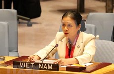 Destacan apoyo internacional a candidatura de Vietnam para el Consejo de Seguridad de la ONU