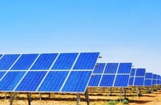 Opera empresa de la India planta fotovoltaica en Vietnam