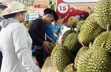 Promueven potencialidades del “reino de las frutas”  en el Sur de Vietnam   