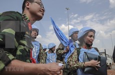 Ratifica ONU respaldo a Vietnam, miembro no permanente del Consejo de Seguridad 