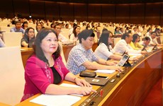 Presenta experto propuestas para perfeccionar organización del Gobierno de Vietnam