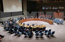 Confían en éxito de Vietnam como miembro del Consejo de Seguridad de la ONU