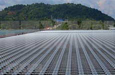 Inauguran planta de energía solar en Binh Thuan con inversiones de Reino Unido y EE.UU.