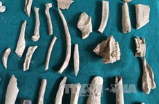 Descubren en provincia vietnamita de Bac Kan huellas de humanos prehistóricos  