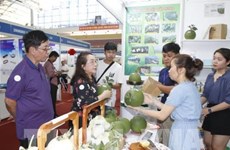 Inauguran en Ciudad Ho Chi Minh ferias internacionales agropecuarias