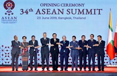 Vietnam se compromete a elevar la posición de la ASEAN en el mundo