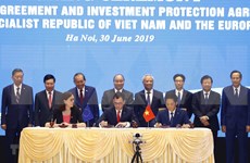 Aprovecha acuerdo de libre comercio Vietnam-EU EVFTA