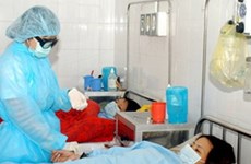 Ascienden en Myanmar a 29 los muertos por la gripe A (H1N1) en 2019
