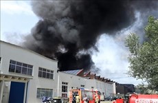Destruye incendio almacenes de mercado vietnamita en Alemania