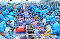 Prevé Vietnam exportaciones acuícolas por cinco mil millones de dólares en segundo semestre de 2019