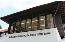 Singapur inaugura su primer banco de semillas 