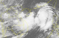 Anuncian en Vietnam formación en Mar del Este de tormenta tropical Wipha
