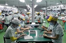 Participan más de 300 empresas vietnamitas en redes de producción multinacional