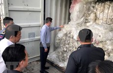 Multan en Camboya a compañía hongkonesa por transportar desechos plásticos al país