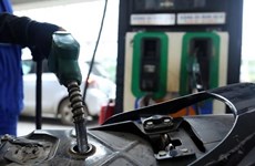 Registra un descenso el precio de combustibles en Vietnam