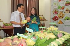 Disminuye Vietnam sus exportaciones de frutas y verduras en primeros siete meses de 2019