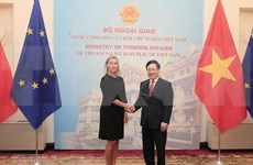 Califican nexos económicos como pilar de relaciones Vietnam-UE 