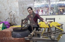 Seda y brocado, tesoro preservado y desarrollado en Vietnam