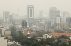 Anuncia Indonesia regulaciones a automóviles privados para reducir contaminación atmosférica