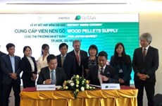 Impulsa empresa vietnamita exportación de pellets de madera al mercado japonés
