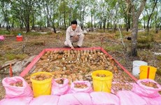 Descubren dos bóvedas con más de mil materiales explosivos en provincia vietnamita de Quang Tri