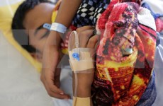 Reportan en Myanmar la muerte de 48 personas por dengue