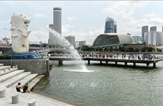 Aumentan en Singapur inversiones en tecnología financiera 