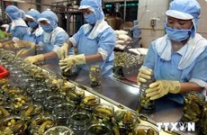 Exportaciones de frutas y verduras de Vietnam caen un 5,8 por ciento en ocho meses