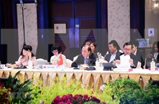 Participa Vietnam en reuniones preparatorias para la XXXV Cumbre de ASEAN