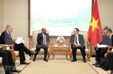 Vietnam se propone intensificar lazos multisectoriales con Sudáfrica y Nigeria