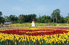 Convierte ciudad filipina basura plástica en tulipanes para combatir la contaminación