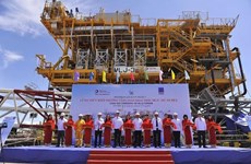 Reafirma empresa de ingeniería vietnamita su prestigio en el mundo
