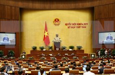 Evaluará Parlamento de Vietnam labores de prevención y lucha contra incendios