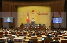 Trabaja Parlamento de Vietnam para perfeccionar marco legal sobre inversión