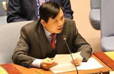 Vietnam comparte experiencia en las operaciones de mantenimiento de paz de ONU