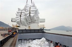Ingresa Vietnam 168 millones de dólares por exportaciones de arroz en noviembre