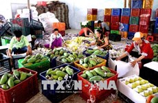 Exportaciones de frutas vietnamitas totalizan 3,85 mil millones de dólares en 2019