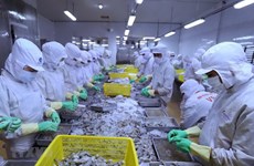 China entre mayores importadores de productos acuáticos de Vietnam 