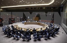 Asumirá Vietnam presidencia del Consejo de Seguridad de Naciones Unidas