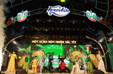 Acoge ciudad vietnamita de Da Nang a Nuevo Año con actividades culturales y artísticas 